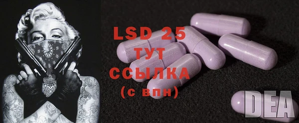гидра Новодвинск