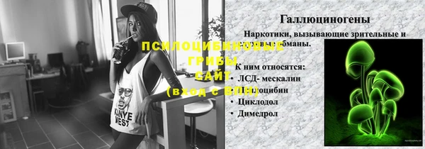гидра Новодвинск