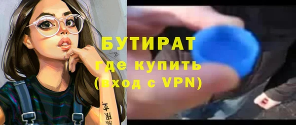 гидра Новодвинск