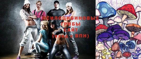 эйфоретик Новокубанск