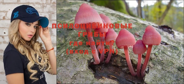 эйфоретик Новокубанск