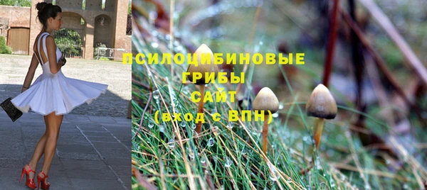 эйфоретик Новокубанск