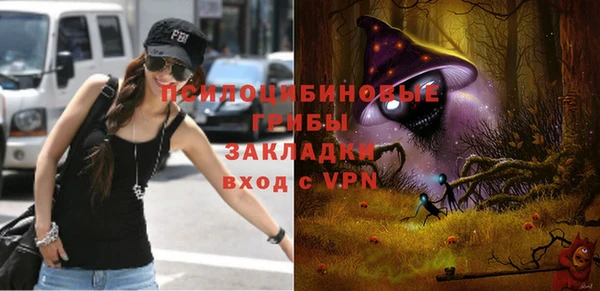 гидра Новодвинск