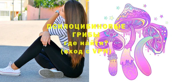 эйфоретик Новокубанск