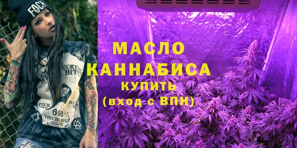 гидра Новодвинск