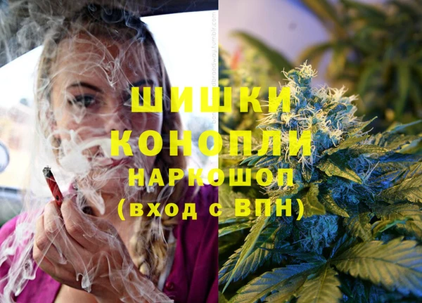 гидра Новодвинск