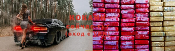 эйфоретик Новокубанск