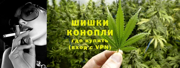 эйфоретик Новокубанск